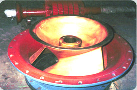 CW Pump Impellers